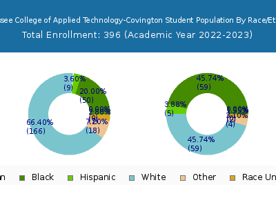 Tennessee College of Applied Technology-Covington 2023 Student Population by Gender and Race chart