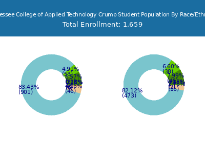 Tennessee College of Applied Technology Crump 2025 Student Population by Gender and Race chart