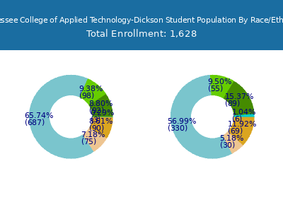 Tennessee College of Applied Technology-Dickson 2025 Student Population by Gender and Race chart