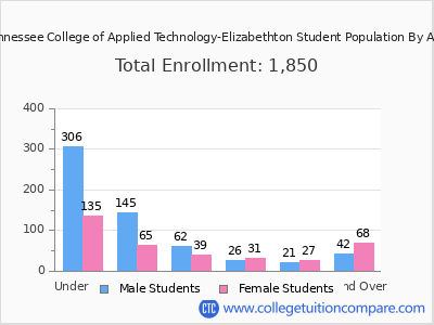 Tennessee College of Applied Technology-Elizabethton 2024 Student Population by Age chart