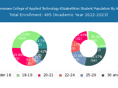 Tennessee College of Applied Technology-Elizabethton 2023 Student Population Age Diversity Pie chart