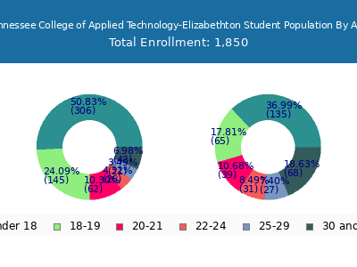 Tennessee College of Applied Technology-Elizabethton 2024 Student Population Age Diversity Pie chart
