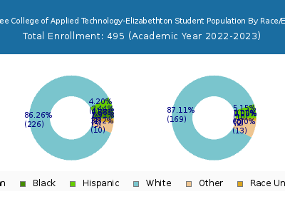 Tennessee College of Applied Technology-Elizabethton 2023 Student Population by Gender and Race chart