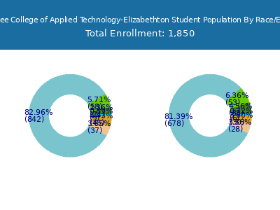 Tennessee College of Applied Technology-Elizabethton 2025 Student Population by Gender and Race chart