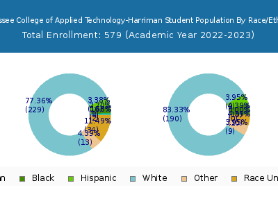 Tennessee College of Applied Technology-Harriman 2023 Student Population by Gender and Race chart
