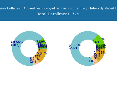 Tennessee College of Applied Technology-Harriman 2025 Student Population by Gender and Race chart