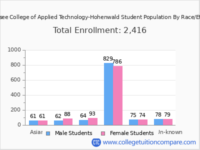 Tennessee College of Applied Technology-Hohenwald 2025 Student Population by Gender and Race chart