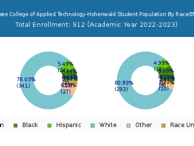 Tennessee College of Applied Technology-Hohenwald 2023 Student Population by Gender and Race chart