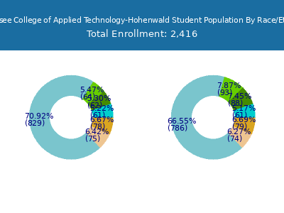 Tennessee College of Applied Technology-Hohenwald 2025 Student Population by Gender and Race chart