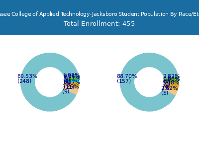 Tennessee College of Applied Technology-Jacksboro 2025 Student Population by Gender and Race chart