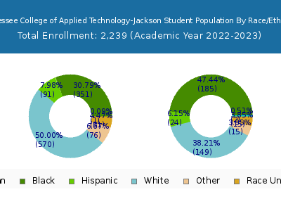Tennessee College of Applied Technology-Jackson 2023 Student Population by Gender and Race chart