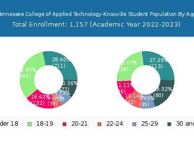 Tennessee College of Applied Technology-Knoxville 2023 Student Population Age Diversity Pie chart