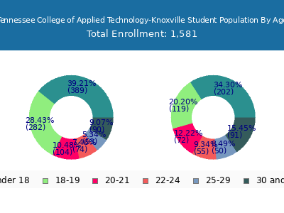 Tennessee College of Applied Technology-Knoxville 2025 Student Population Age Diversity Pie chart