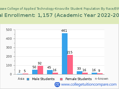 Tennessee College of Applied Technology-Knoxville 2023 Student Population by Gender and Race chart