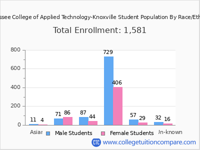 Tennessee College of Applied Technology-Knoxville 2025 Student Population by Gender and Race chart