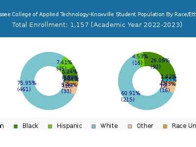 Tennessee College of Applied Technology-Knoxville 2023 Student Population by Gender and Race chart