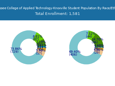 Tennessee College of Applied Technology-Knoxville 2025 Student Population by Gender and Race chart
