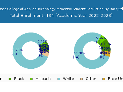 Tennessee College of Applied Technology-McKenzie 2023 Student Population by Gender and Race chart