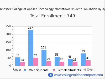 Tennessee College of Applied Technology-Morristown 2025 Student Population by Age chart
