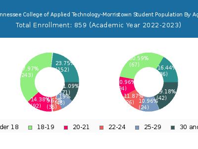 Tennessee College of Applied Technology-Morristown 2023 Student Population Age Diversity Pie chart