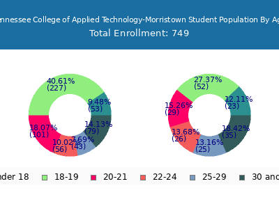 Tennessee College of Applied Technology-Morristown 2025 Student Population Age Diversity Pie chart