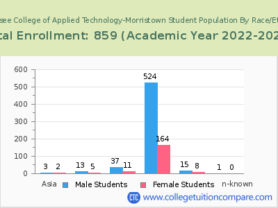 Tennessee College of Applied Technology-Morristown 2023 Student Population by Gender and Race chart