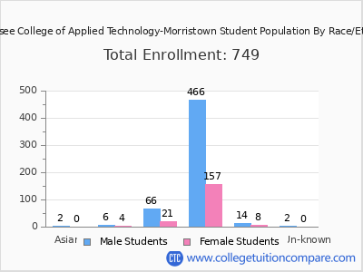 Tennessee College of Applied Technology-Morristown 2025 Student Population by Gender and Race chart