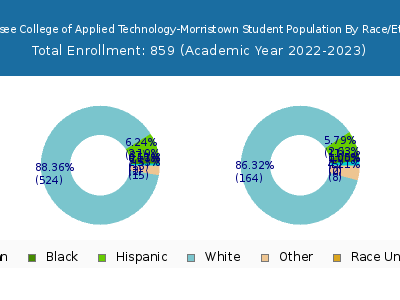 Tennessee College of Applied Technology-Morristown 2023 Student Population by Gender and Race chart