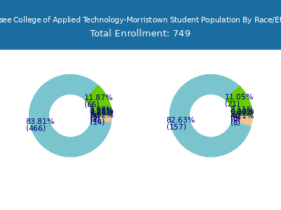 Tennessee College of Applied Technology-Morristown 2025 Student Population by Gender and Race chart