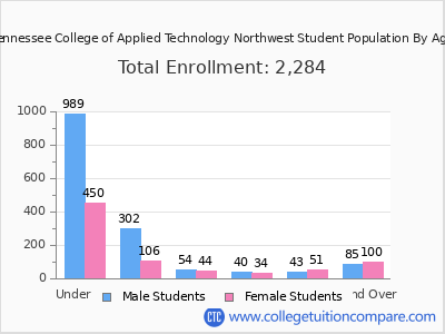 Tennessee College of Applied Technology Northwest 2024 Student Population by Age chart