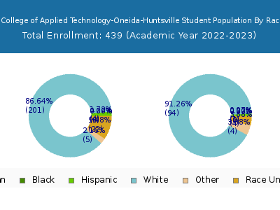 Tennessee College of Applied Technology-Oneida-Huntsville 2023 Student Population by Gender and Race chart