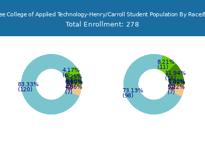 Tennessee College of Applied Technology-Henry/Carroll 2025 Student Population by Gender and Race chart