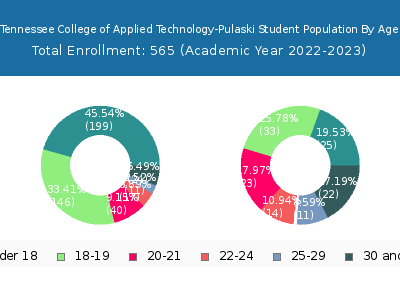 Tennessee College of Applied Technology-Pulaski 2023 Student Population Age Diversity Pie chart