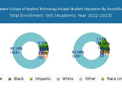 Tennessee College of Applied Technology-Pulaski 2023 Student Population by Gender and Race chart
