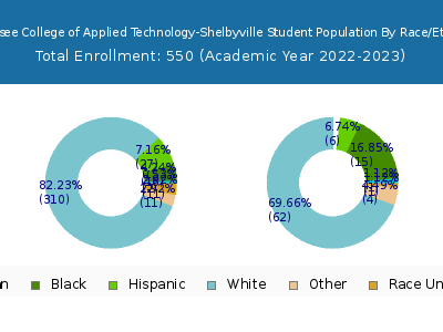 Tennessee College of Applied Technology-Shelbyville 2023 Student Population by Gender and Race chart