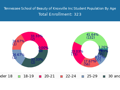 Tennessee School of Beauty of Knoxville Inc 2025 Student Population Age Diversity Pie chart