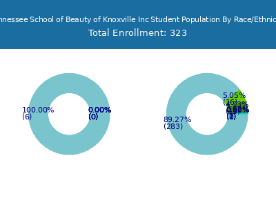 Tennessee School of Beauty of Knoxville Inc 2025 Student Population by Gender and Race chart