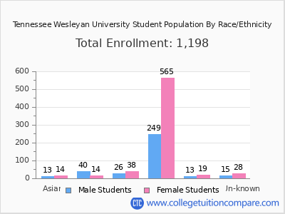 Tennessee Wesleyan University 2025 Student Population by Gender and Race chart