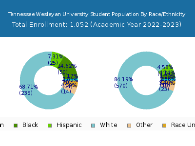 Tennessee Wesleyan University 2023 Student Population by Gender and Race chart