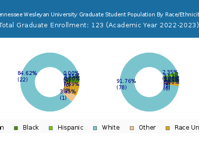 Tennessee Wesleyan University 2023 Graduate Enrollment by Gender and Race chart
