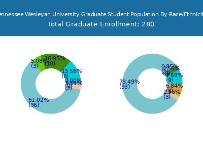Tennessee Wesleyan University 2025 Graduate Enrollment by Gender and Race chart