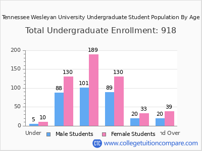 Tennessee Wesleyan University 2024 Undergraduate Enrollment by Age chart