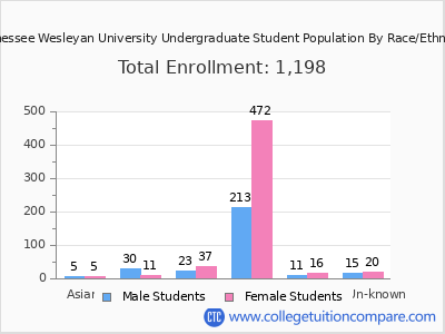 Tennessee Wesleyan University 2025 Undergraduate Enrollment by Gender and Race chart