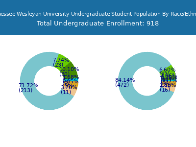 Tennessee Wesleyan University 2025 Undergraduate Enrollment by Gender and Race chart