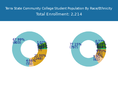 Terra State Community College 2025 Student Population by Gender and Race chart