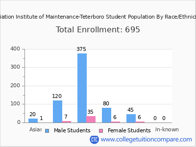Aviation Institute of Maintenance-Teterboro 2025 Student Population by Gender and Race chart