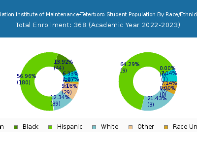 Aviation Institute of Maintenance-Teterboro 2023 Student Population by Gender and Race chart