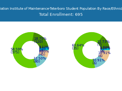 Aviation Institute of Maintenance-Teterboro 2025 Student Population by Gender and Race chart