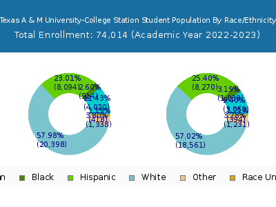 Texas A & M University-College Station 2023 Student Population by Gender and Race chart