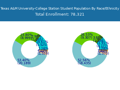Texas A&M University-College Station 2025 Student Population by Gender and Race chart